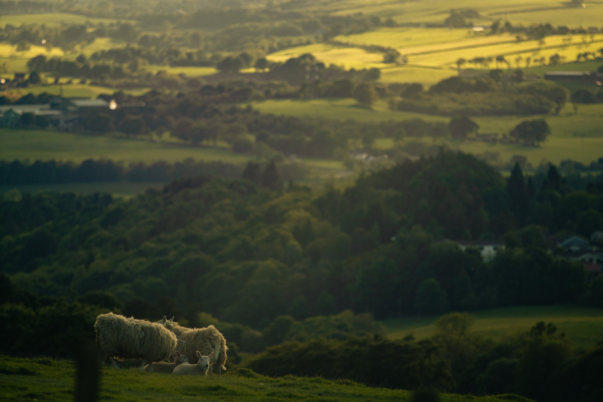 West Lothian Web Design